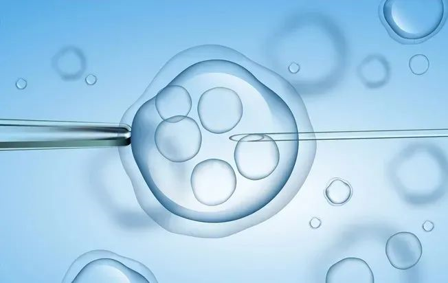 血清绒毛膜促性腺激素水平检测时间